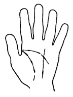 Uneven Line