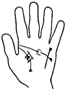 Fork