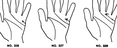 323