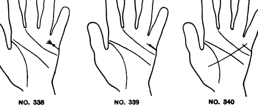 338