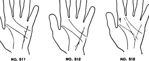 511