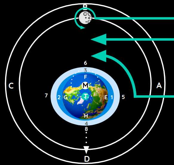 The World