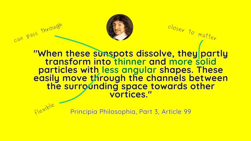 The ANITA particle